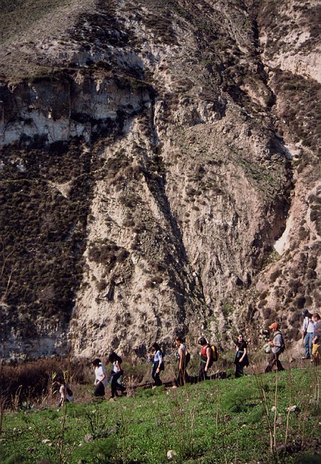 Footsteps in Golan Heights