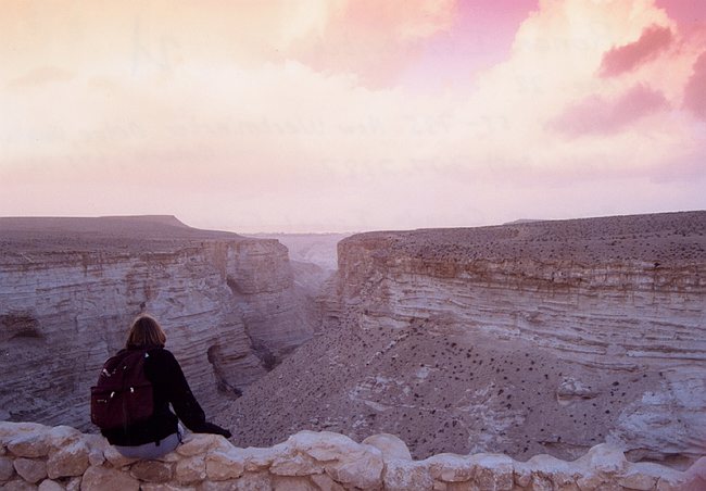 Serenity of Judean Desert